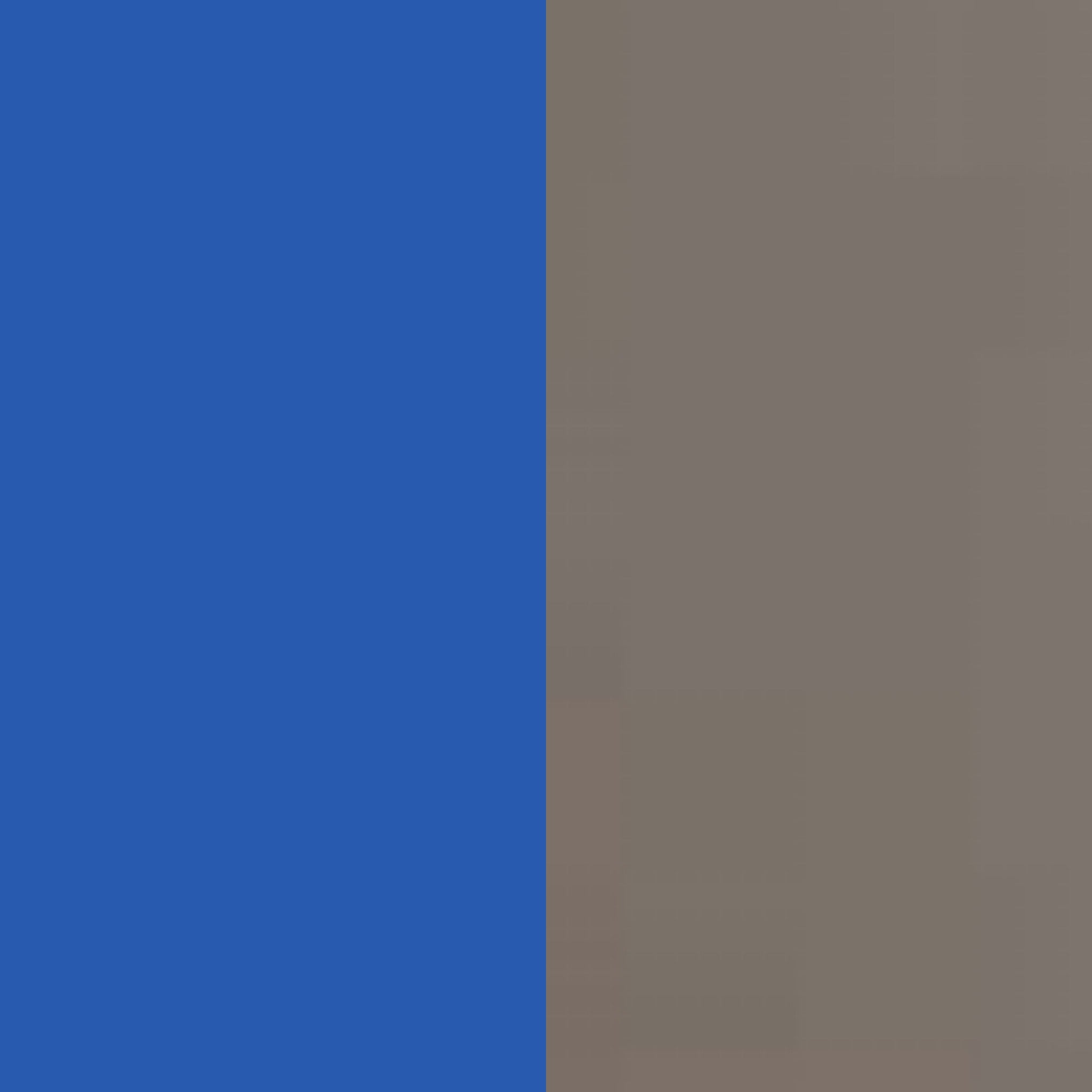 blue/beetle