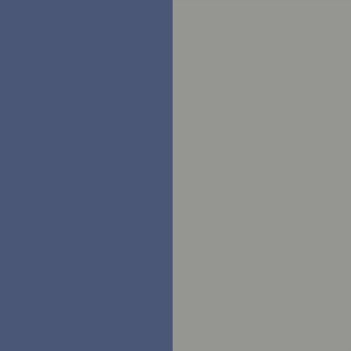 navy/silver
